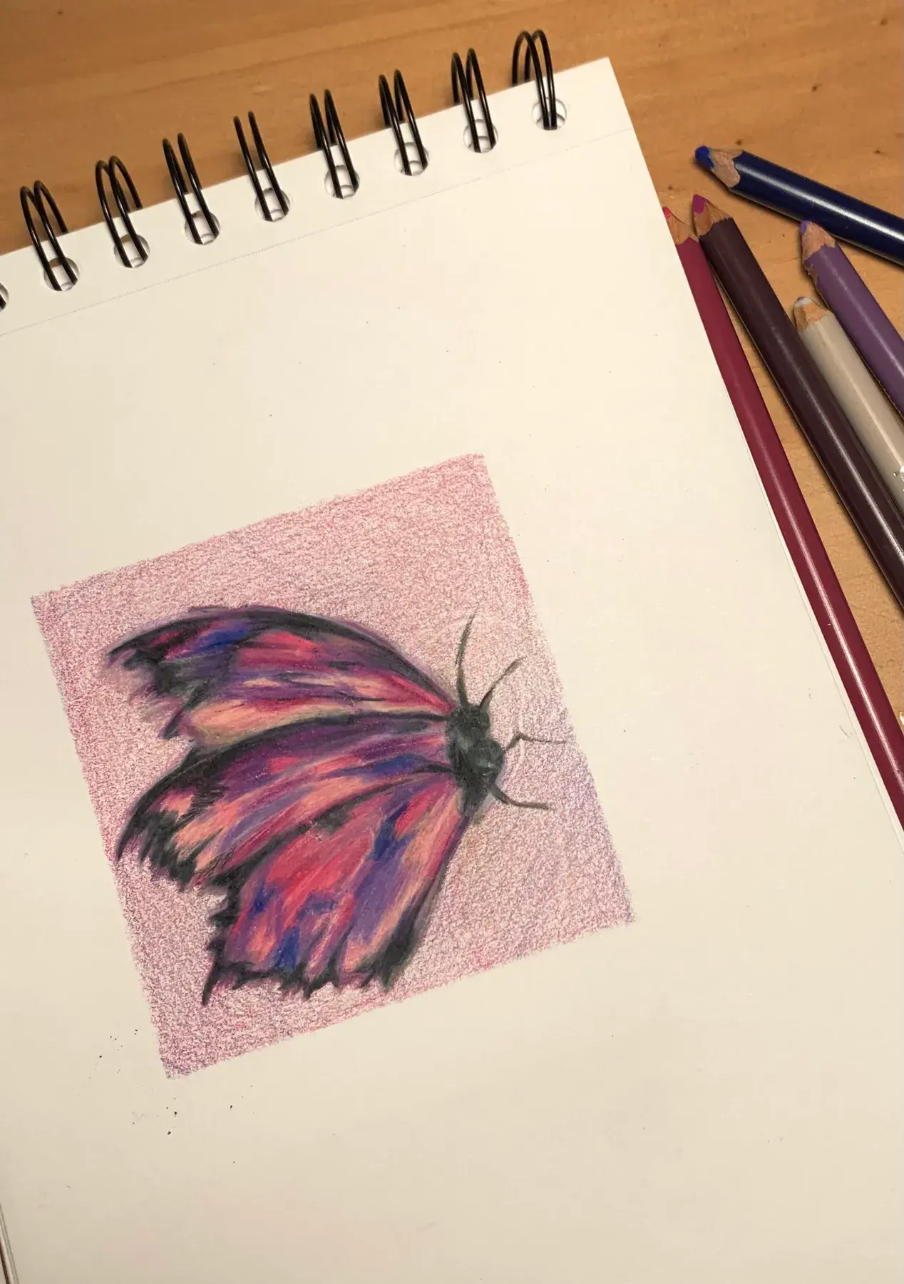 Fine Art & Sketching