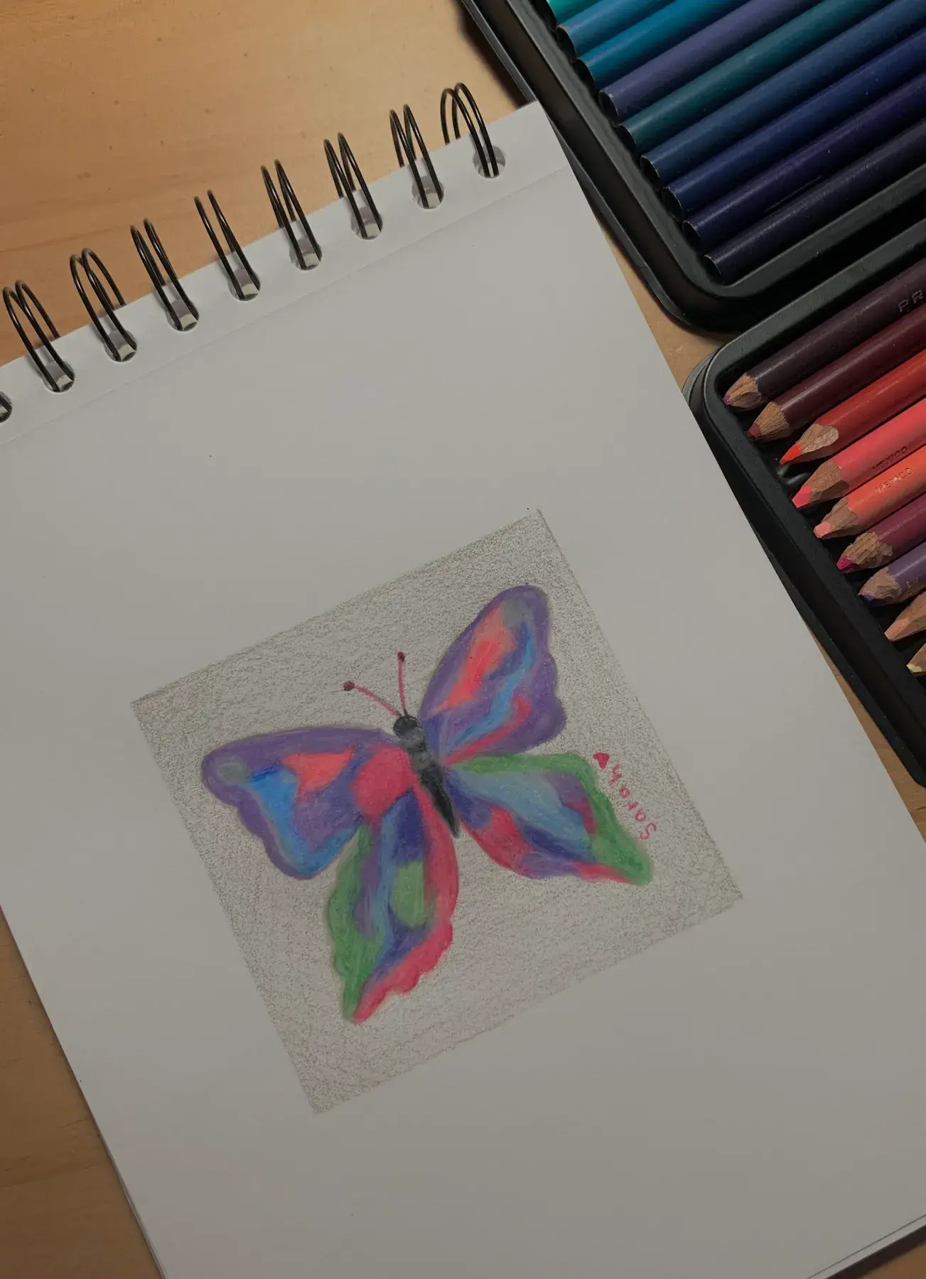 Fine Art & Sketching — 2