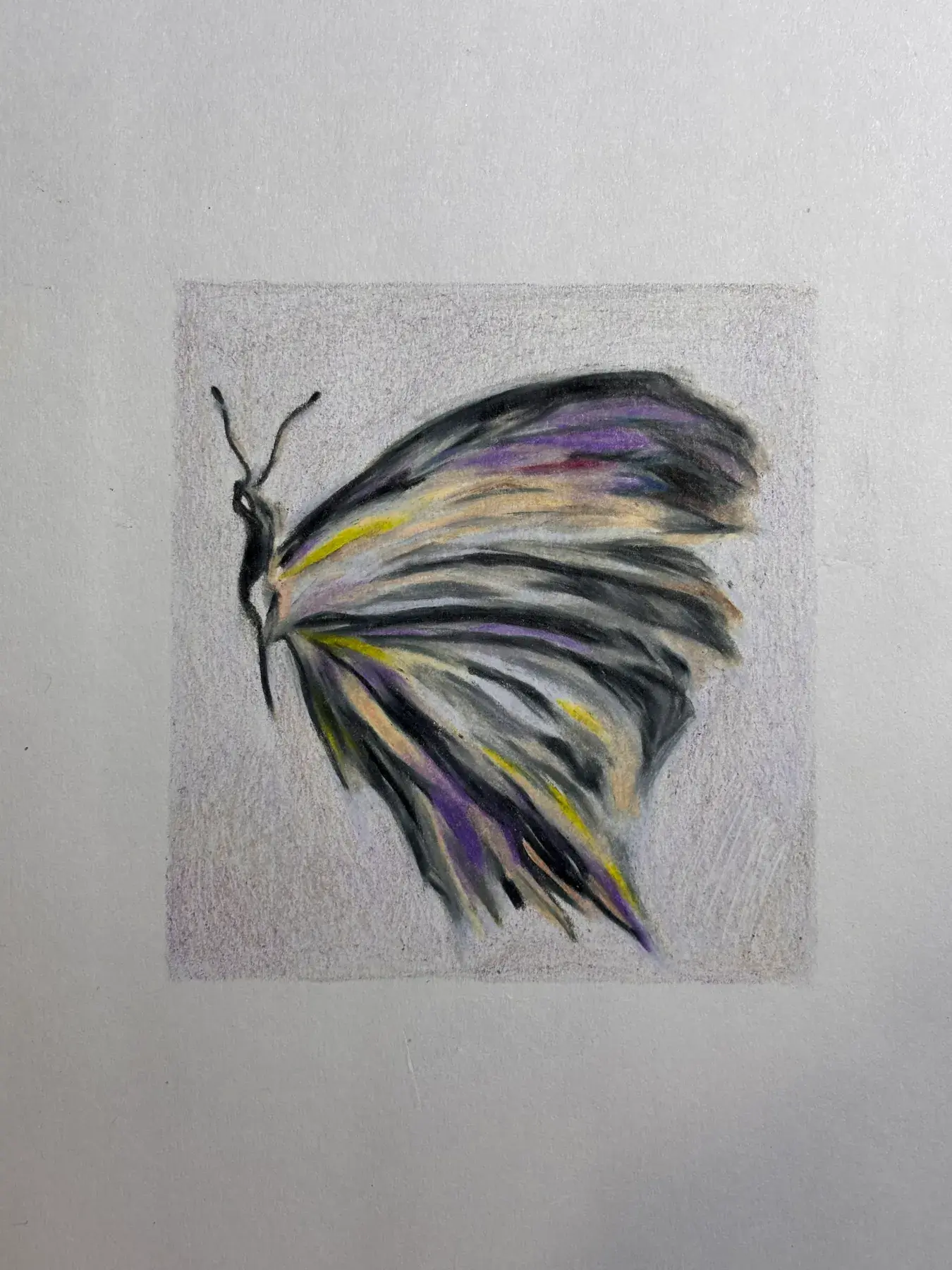 Fine Art & Sketching — 9