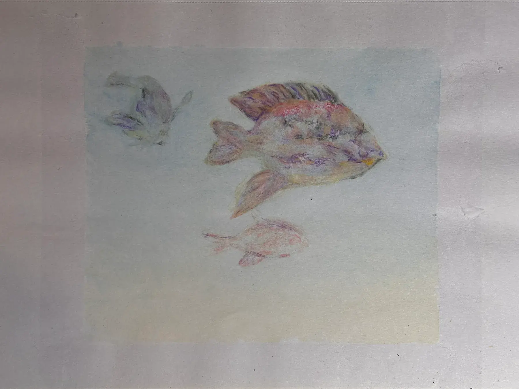 Fine Art & Sketching — 10