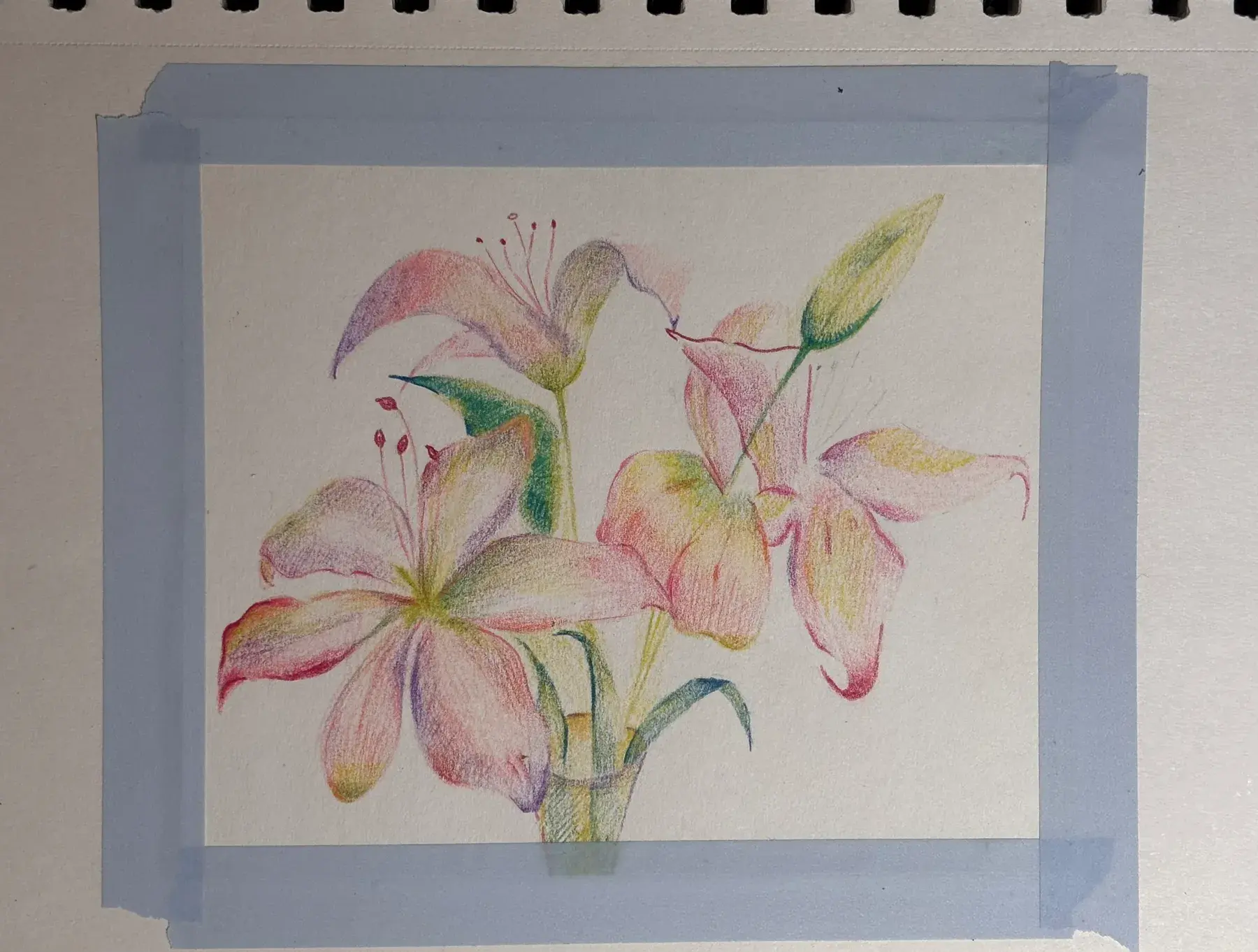 Fine Art & Sketching — 11